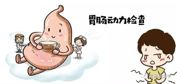 胃电图仪
